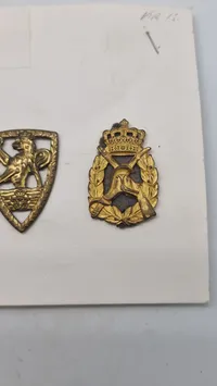 Samling regimentsmærker