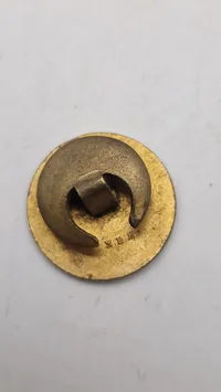 Original pin - Grøndahlsvænge skolen