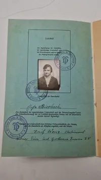 Originalt sportsabzeichen urkunde & stofmærke