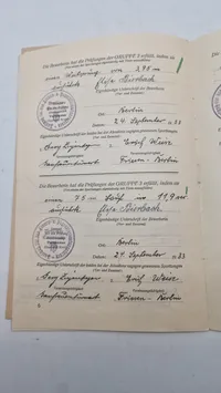 Originalt sportsabzeichen urkunde & stofmærke