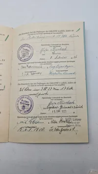 Originalt sportsabzeichen urkunde & stofmærke