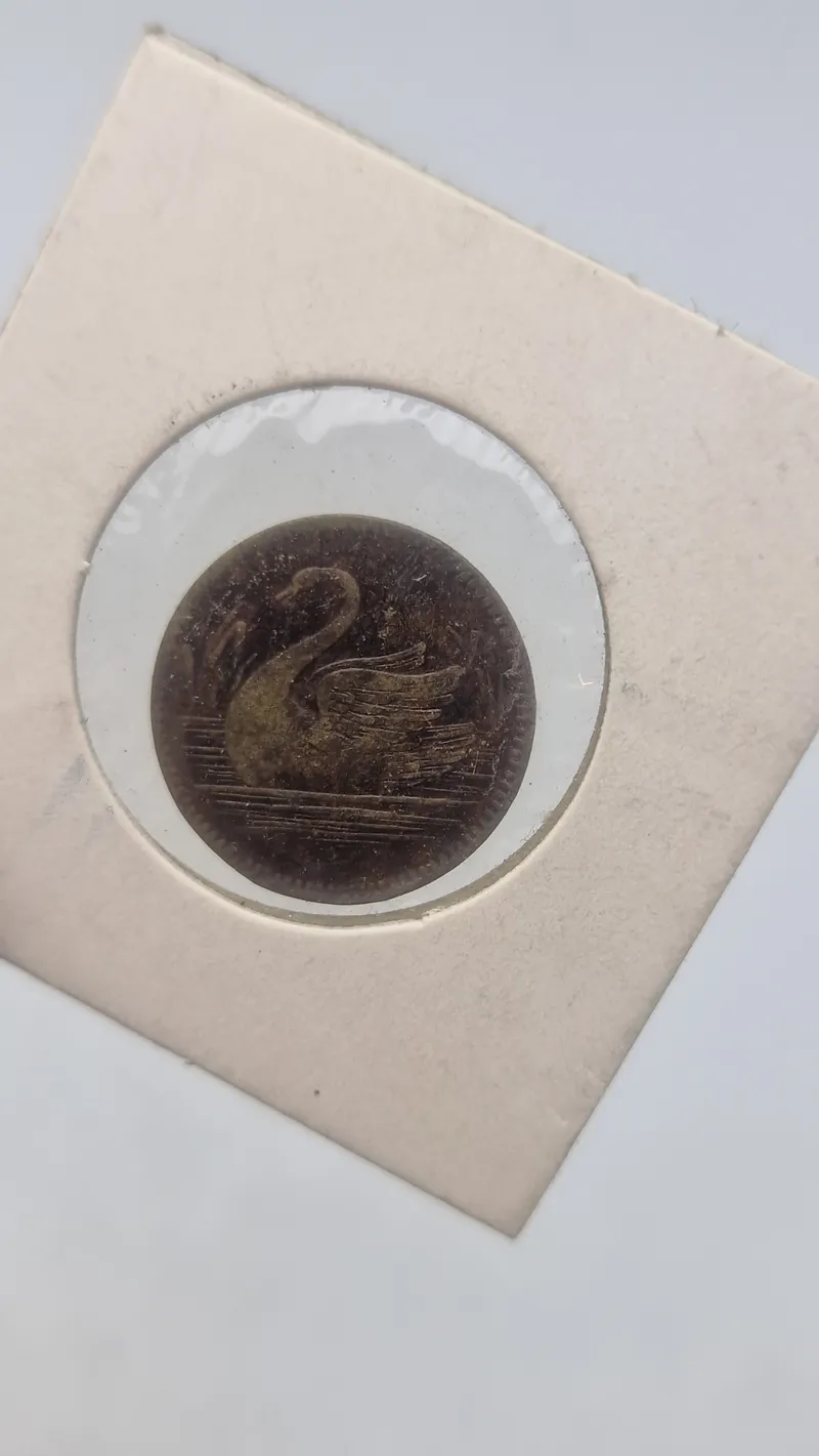 Token, Limfjorden-Aalborg