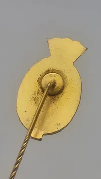 Pin fra Havnens venner