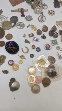 Samling pins mm.