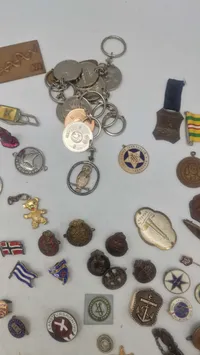 Samling pins mm.