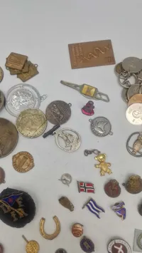 Samling pins mm.