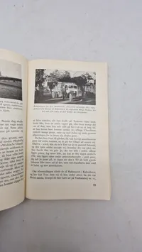 ww2 bog lot
