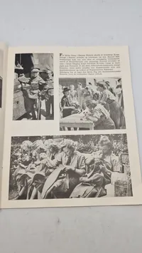 Af en brigade-dagbog