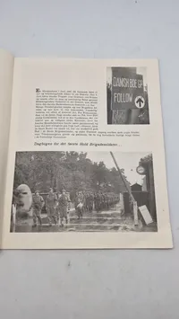 Af en brigade-dagbog