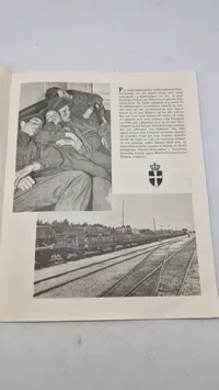 Af en brigade-dagbog