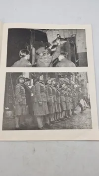 Af en brigade-dagbog