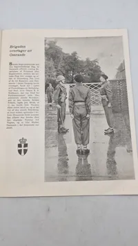 Af en brigade-dagbog