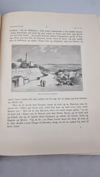 Ældre eks. af Det Ny Testamente