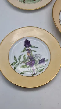 Samling royal Copenhagen tallerkener