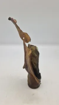 Originalt tysk 2 cm flakhylster fra slagmarken