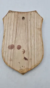 Original plakette fra jyske dragonregiment