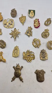 Samling regimentsmærker
