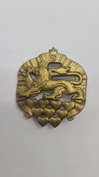 Baretmærke - 8. bataljon, Jyske Skytteregiment