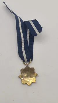 Original miniture medalje fra den hollandske Oranje-Nassau Orden