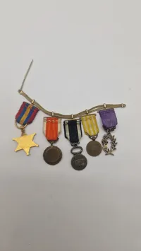 Original miniature medalje spange