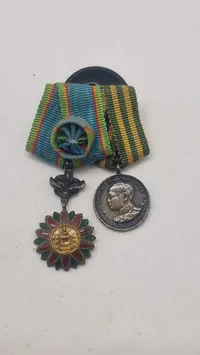 Original miniature medalje spange