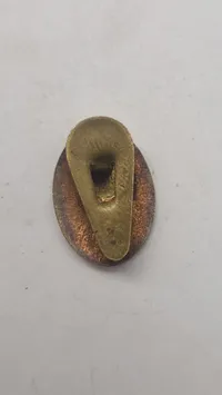 Sjælden original facistisk revérnål, ww2