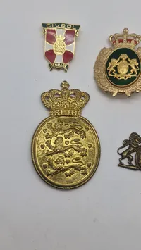 Samling dansk politi