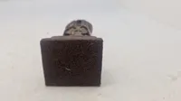 Kinesisk figur af træ