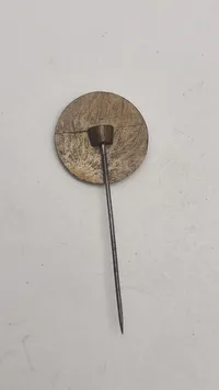 Original folkevogn pin