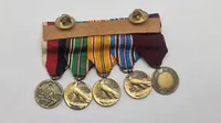Original miniature medalje spange