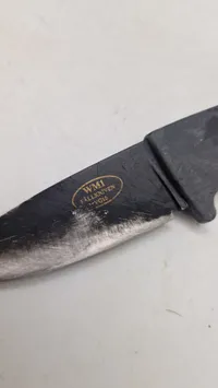 WM1 Fallkniven (jagtkniv)