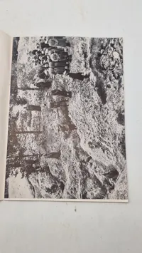 Skuddet i nakken. Original