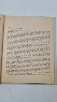 Hitler beskytter Danmark. Original