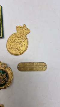 Samling dansk politi