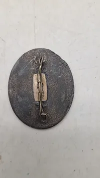 Alter Kämpfer" pin-badge. Original