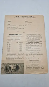 Waffen SS indmeldelsesskema, originalt