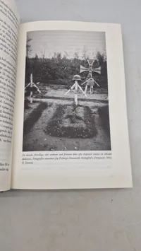 Under hagekors og dannebrog