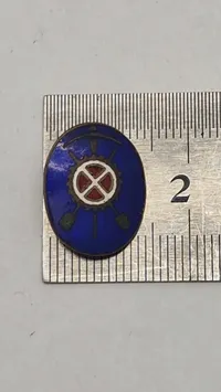 Dansk WW2 D.N.S.A.P faggrupper, originalt