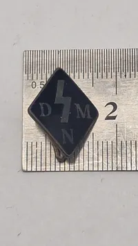 Dansk WW2 D.N.S.A.P Nordslesvig kvinder, originalt