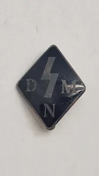 Dansk WW2 D.N.S.A.P Nordslesvig kvinder, originalt