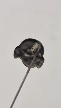 SS pin,  original ?