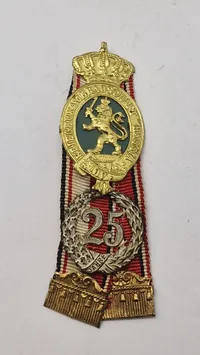 Tysk veteran mærke ww1, originalt