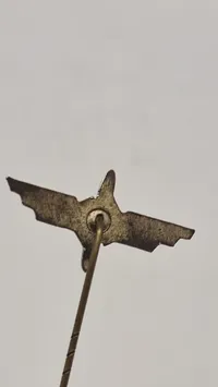 Tysk DLV-Pin original