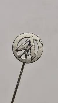 SA pin, original