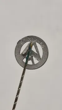 SA pin, original
