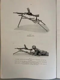 Original bog fra 1942 - hvorfor har forsvarsviljen forladt den danske befolking?