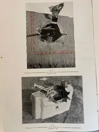Original bog fra 1942 - hvorfor har forsvarsviljen forladt den danske befolking?