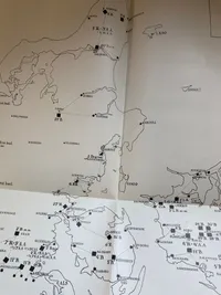 Original bog fra 1942 - hvorfor har forsvarsviljen forladt den danske befolking?