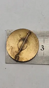 Sjældent Nordslesvig WW2 kameradschaft mærke guld, originalt