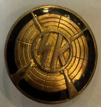 Sjældent Nordslesvig WW2 kameradschaft mærke guld, originalt